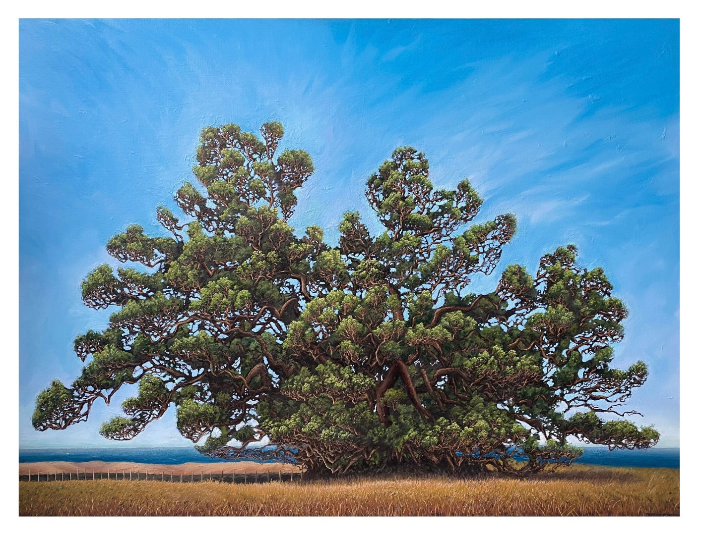 'The Olde One' Fine Art Print