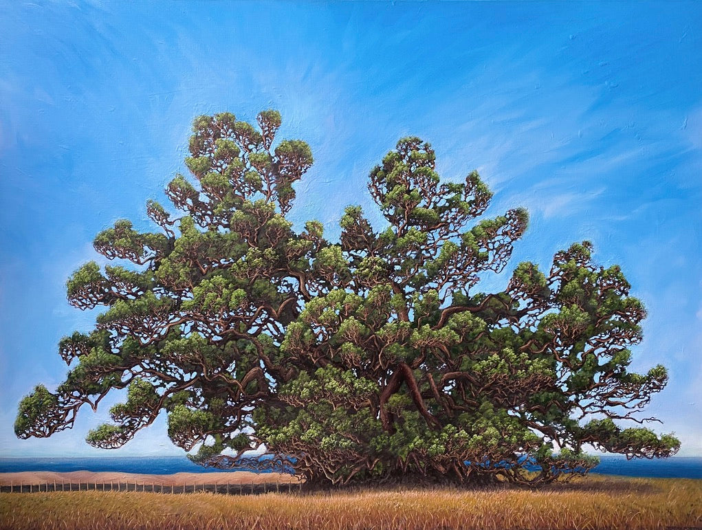 'The Old One' Original Painting