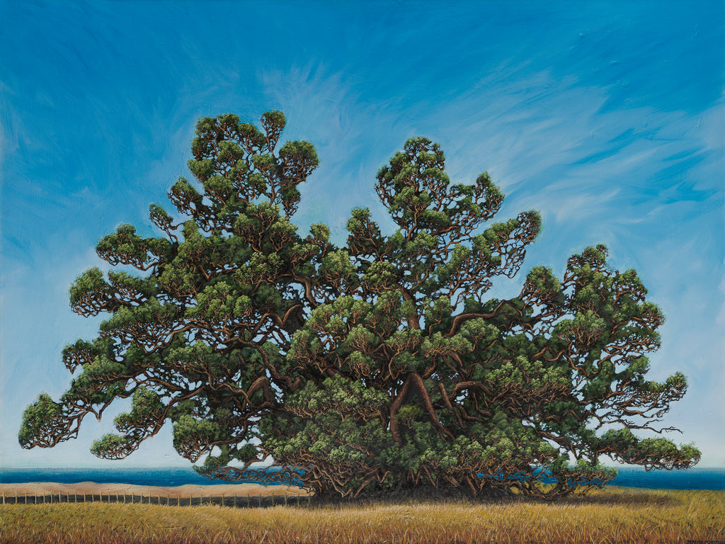 'The Olde One' Fine Art Print