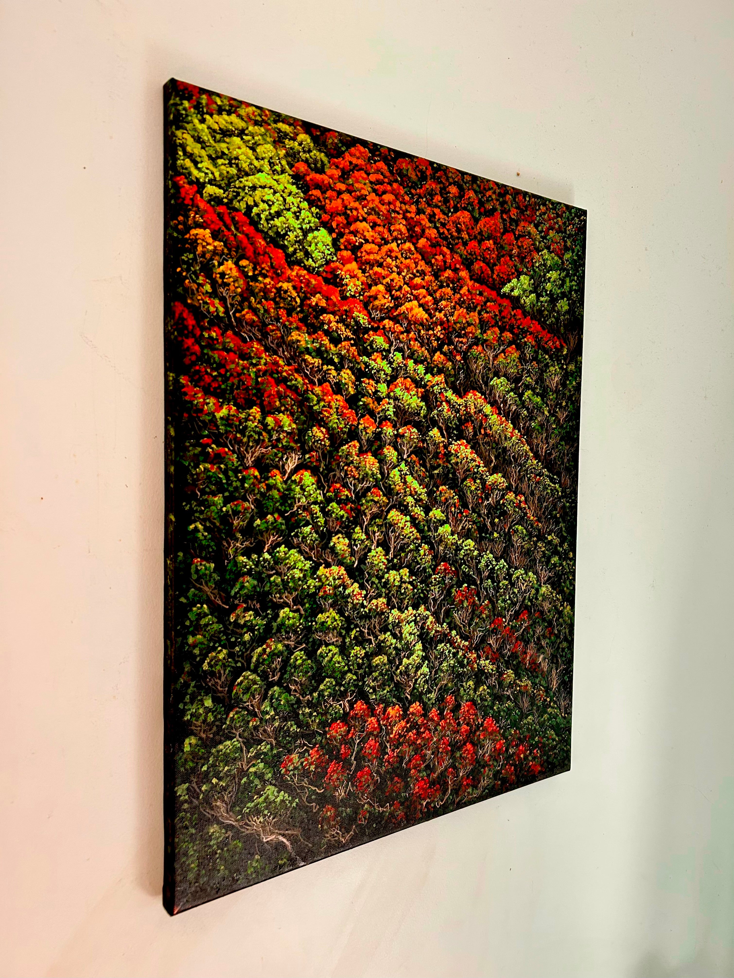 'From Above' - Oil Painting