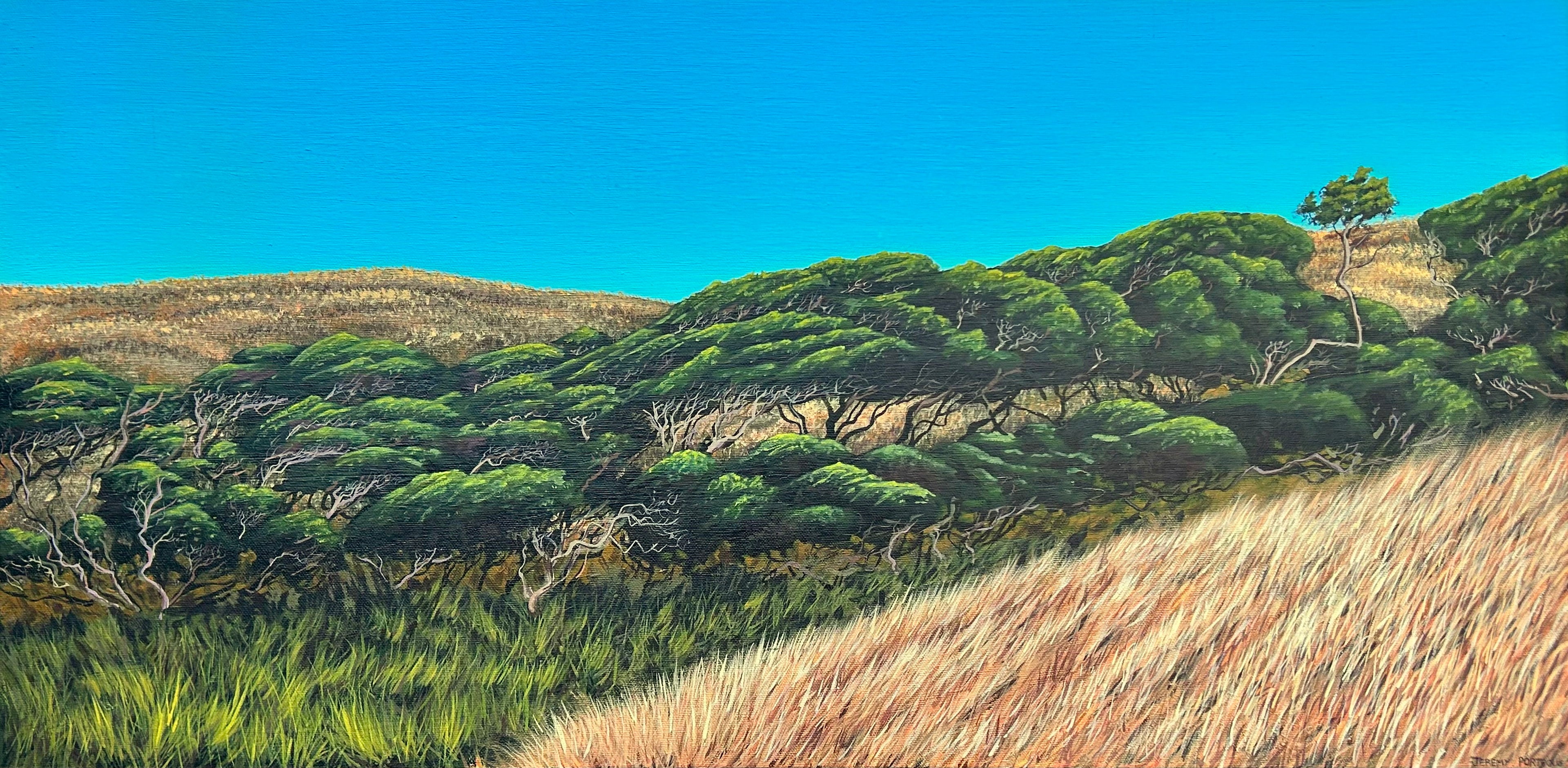 'Manuka Valley' - Oil Painting