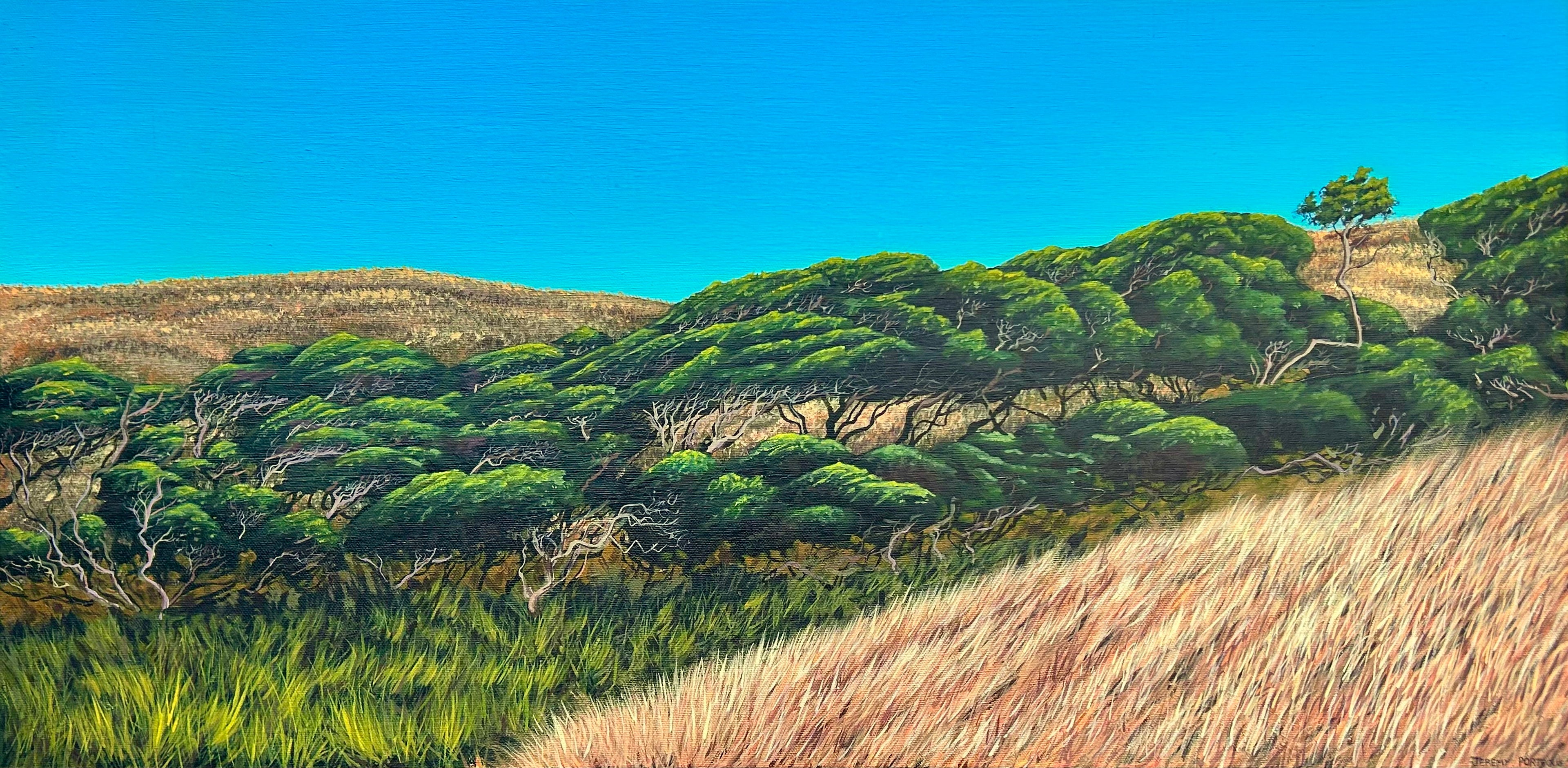 'Manuka Valley' - Oil Painting