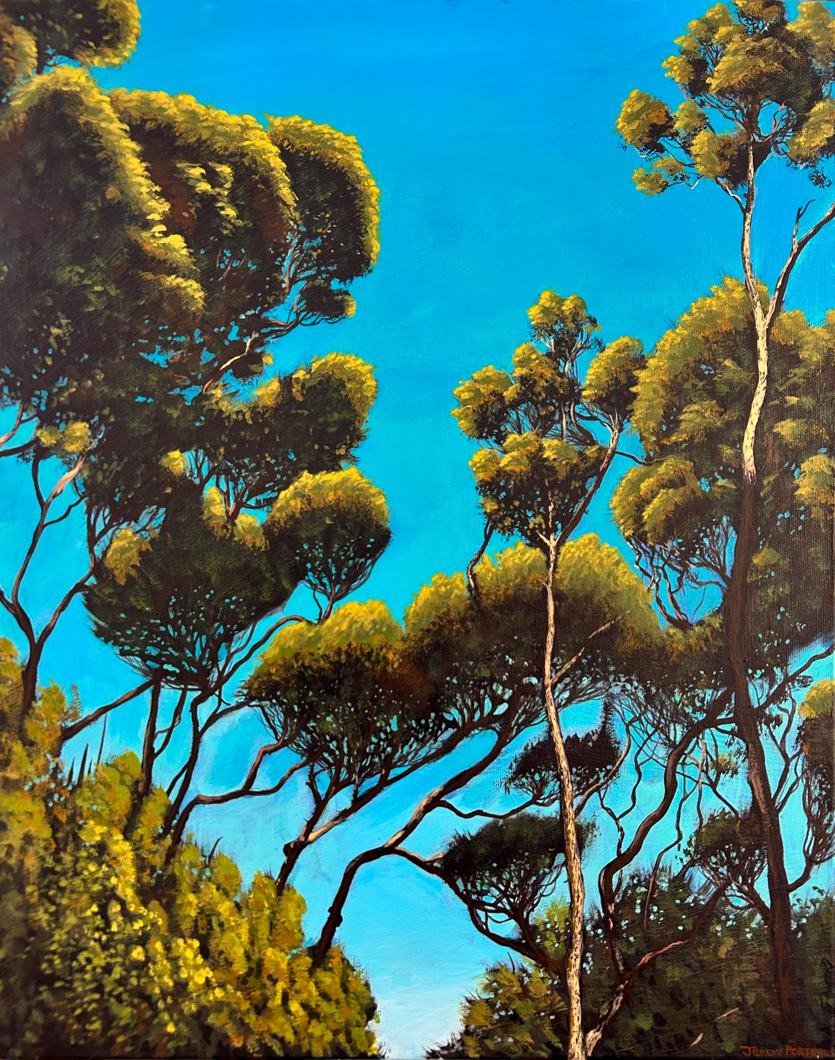 'Kendall Bay Canopy" - Original Painting