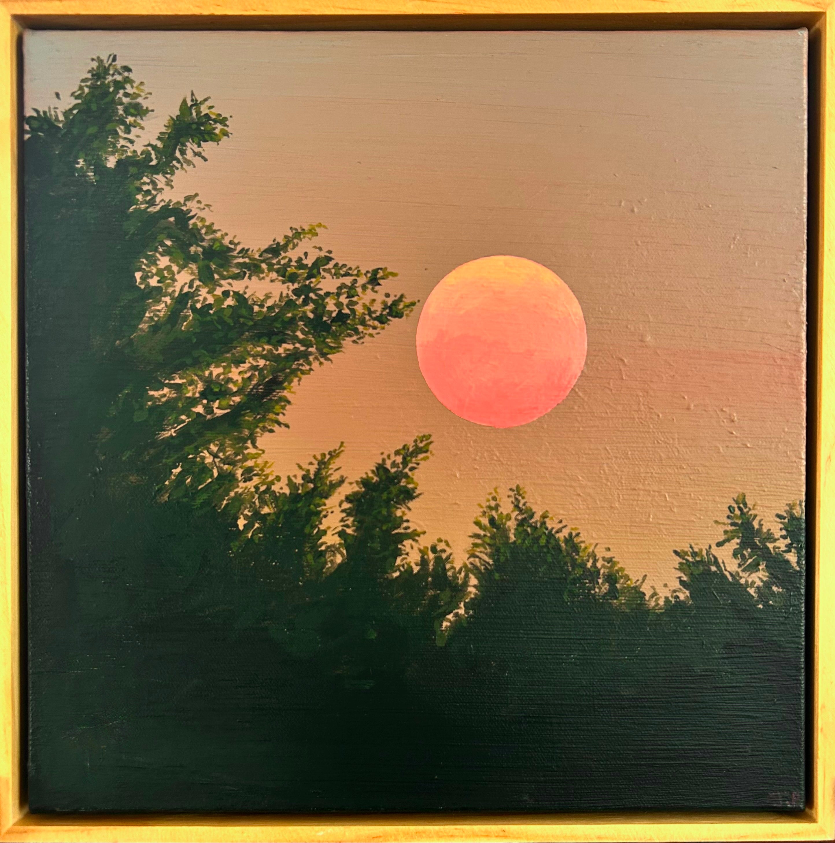 'Evening Glow' - Oil Painting